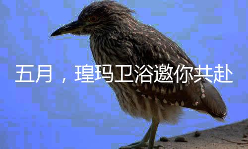 未来可期】做为主题