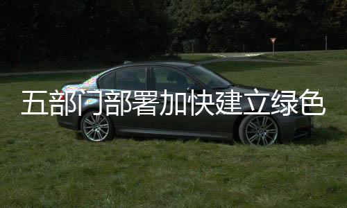 加快建立机制意见明确
