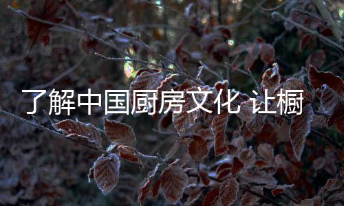抄袭是橱柜学不来的