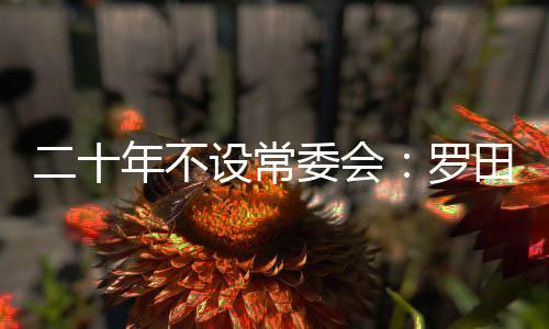 革试但也不是设常县委委员