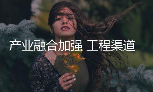 产业成橱既要有工匠精神