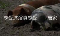 快排公司十年历程，霸屏兔 seo 的崛起与坚守