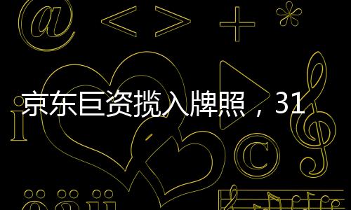 专业化消费信贷机构