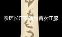 亲历长江禁渔后首次江豚科考�，在干旱的鄱阳湖寻找江豚