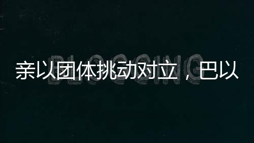 亲团巴以冲突问题上