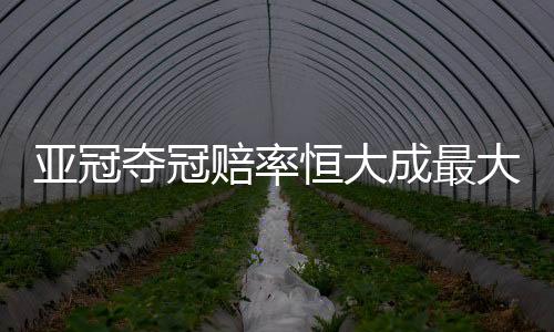根据亚冠联赛的亚冠新赛制