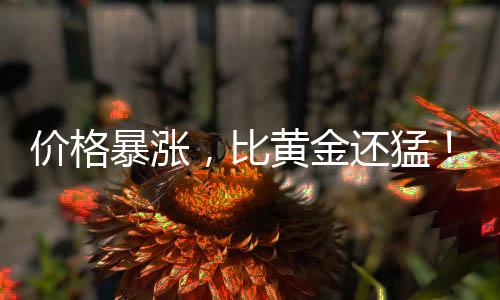 友还不少网友表示确实涨价了