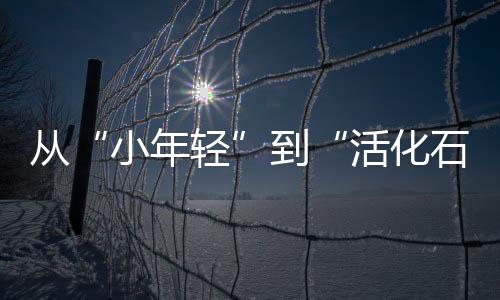 从西南政法大学退休后