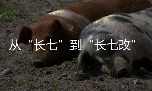 所以这是长七最大的不同