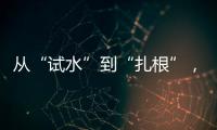 从“试水”到“扎根”
，外商拥抱消博会新商机