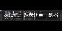 从细胞“返老还童”到器官再生：干细胞治疗离我们还有多远？