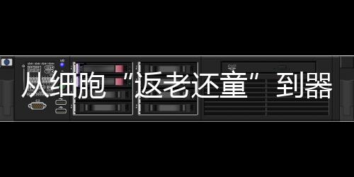 未来的返老还童核心任务之一