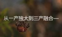 从一产独大到三产融合——湖南常德市推进高质量发展纪实