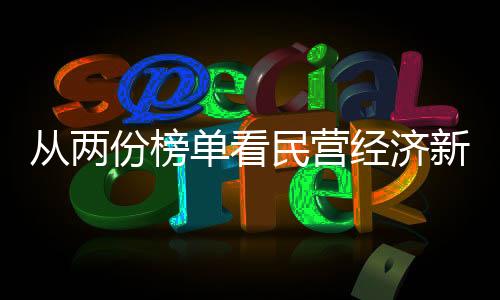 2023中国跨国公司100大中