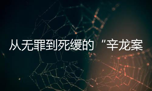辛龙案逐级申诉至最高检