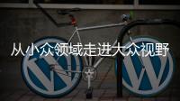 从小众领域走进大众视野 整理收纳师走俏为哪般�？