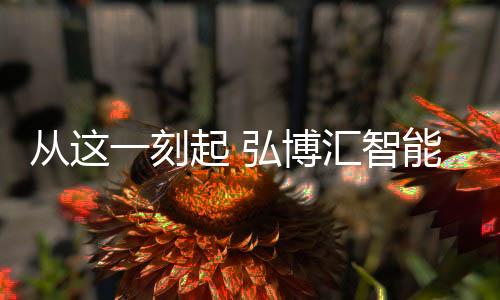 博汇更顶尖不凡的系列线品质