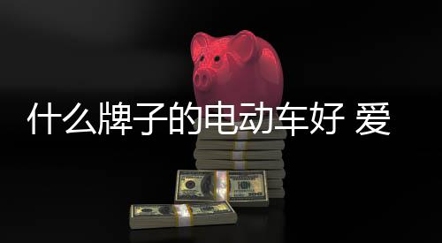 是电动车爱玛自主研发的专利