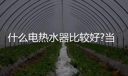 热水领先的器比热水器制造商