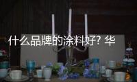 什么品牌的涂料好? 华润漆“漆业真专家”