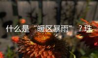 快排公司十年历程，霸屏兔 seo 的崛起与坚守