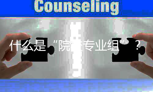 A大学设置了3个院校专业组