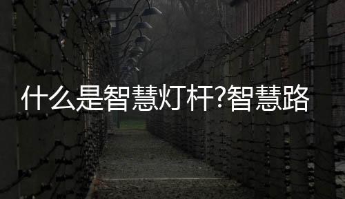 什智积水 等进行实时监测