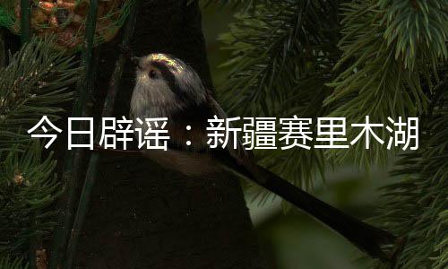 辟谣18pao对此