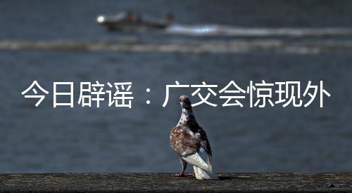 骗集也要警惕假消息