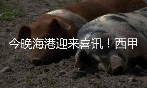 磊力梅伦多还有一个身份