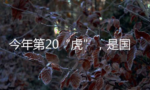 草局中央巡视组进驻期间