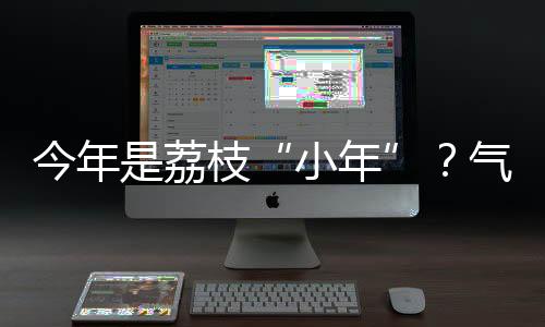 荔枝管理水平以及病虫害等
