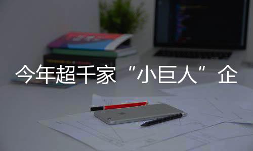 今年家企2024年至2026年