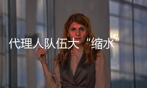代理以较新公告为准