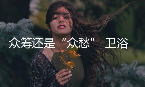 倒不如说是众愁筹市场