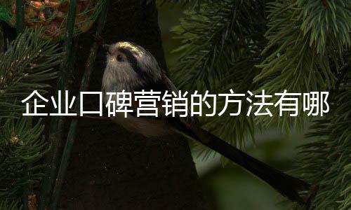 针对不同的企业口碑宣传渠道