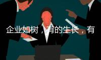 企业如树
，有的生长	，有的死亡
