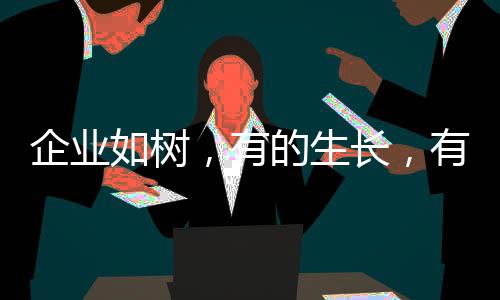 生的死或者说最好的企业人