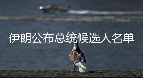 总统由选民直接投票选举产生