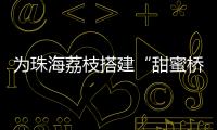 为珠海荔枝搭建“甜蜜桥梁”！九洲港也能买到新鲜采摘的荔枝啦