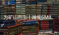为矿山而生丨潍柴6M33矿山动力
，开启矿山作业高效新时代