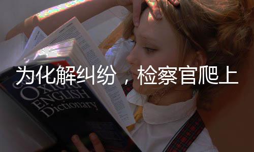 法院判决张山全额缴纳物业费