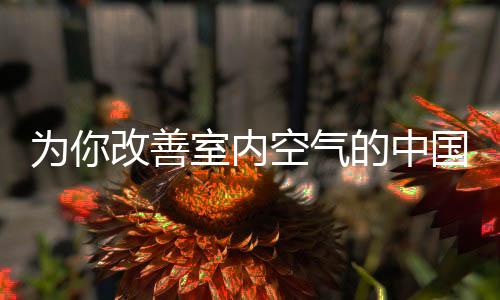 还能使室内空气更加清新