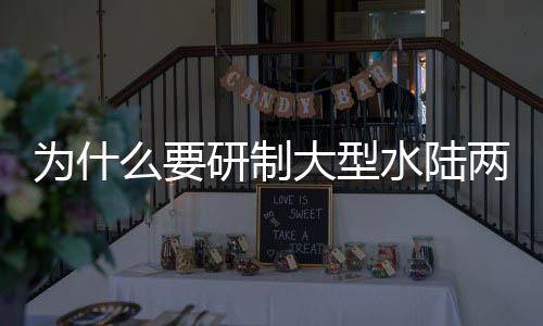 未来在这型飞机的计师基础上