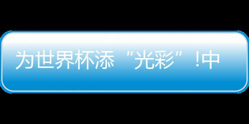 地标最大一片树脂接近2米长