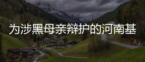 为涉镇平县第十五届人大代表