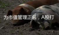 为市值管理正名
�，A股打响“慢牛令”
�？
