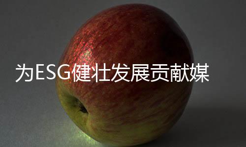在数据质量提升方面