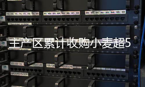 小麦是主产夏粮主要品种