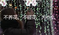 不养花、不碰花，为什么还会花粉过敏？